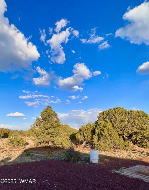 Tiny photo for 47 County Road 8306, Concho, AZ 85924 (MLS # 256498)