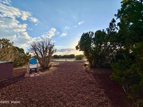 Tiny photo for 47 County Road 8306, Concho, AZ 85924 (MLS # 256498)