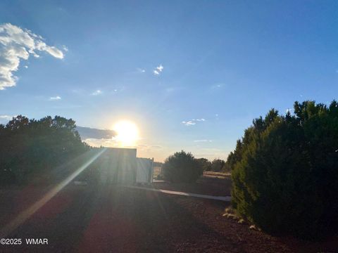 Tiny photo for 47 County Road 8306, Concho, AZ 85924 (MLS # 256498)
