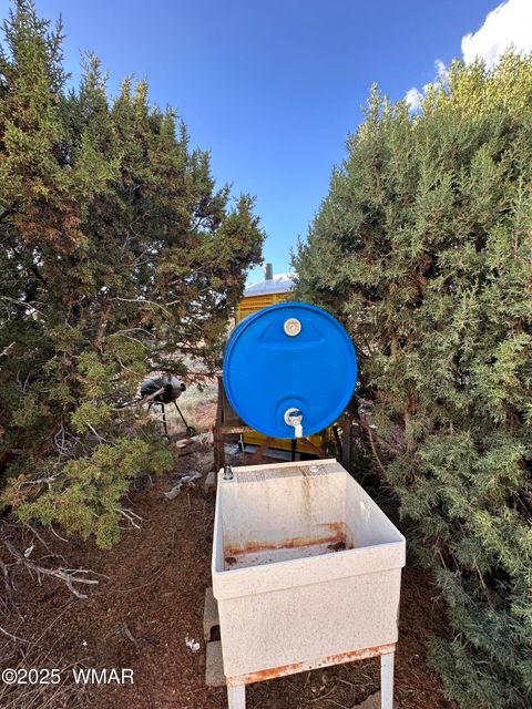 Tiny photo for 47 County Road 8306, Concho, AZ 85924 (MLS # 256498)