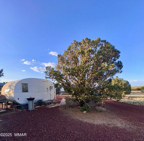Tiny photo for 47 County Road 8306, Concho, AZ 85924 (MLS # 256498)