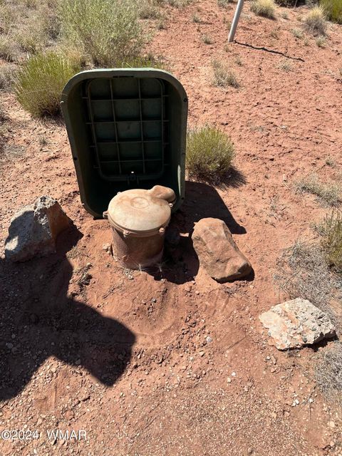 Tiny photo for 2991 Retirement Rd. Rd, Snowflake, AZ 85937 (MLS # 253208)
