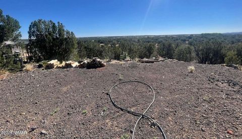 Tiny photo for 1787 Bemus Place, Show Low, AZ 85901 (MLS # 257990)