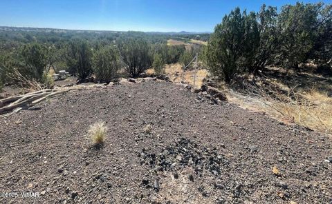 Photo of 1787 Bemus Place, Show Low, AZ 85901 (MLS # 257990)