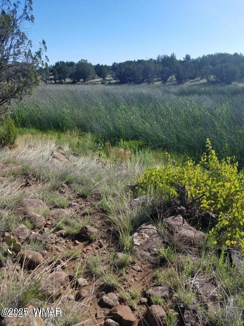 Tiny photo for 1787 Bemus Place, Show Low, AZ 85901 (MLS # 257990)