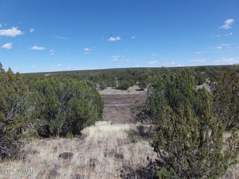 Tiny photo for 1787 Bemus Place, Show Low, AZ 85901 (MLS # 257990)