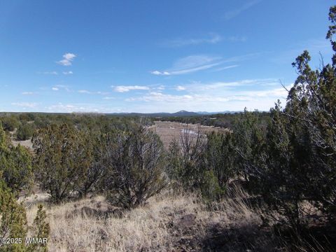 Tiny photo for 1787 Bemus Place, Show Low, AZ 85901 (MLS # 257990)