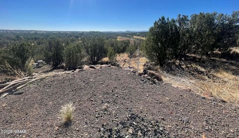 Tiny photo for 1787 Bemus Place, Show Low, AZ 85901 (MLS # 257990)