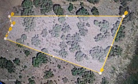 Tiny photo for 1787 Bemus Place, Show Low, AZ 85901 (MLS # 257990)