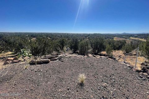 Tiny photo for 1787 Bemus Place, Show Low, AZ 85901 (MLS # 257990)