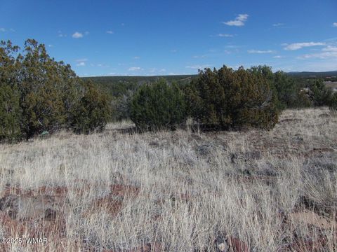 Tiny photo for 1787 Bemus Place, Show Low, AZ 85901 (MLS # 257990)