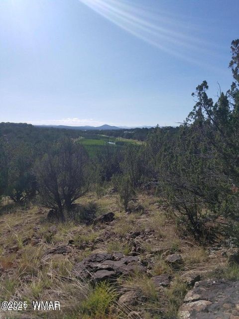 Tiny photo for 1787 Bemus Place, Show Low, AZ 85901 (MLS # 257990)