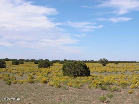 Tiny photo for 0 Bar Nothing Ranch Road #409, Chambers, AZ 86502 (MLS # 258700)