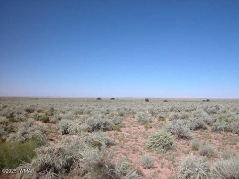 Tiny photo for 0 Bar Nothing Ranch Road #409, Chambers, AZ 86502 (MLS # 258700)