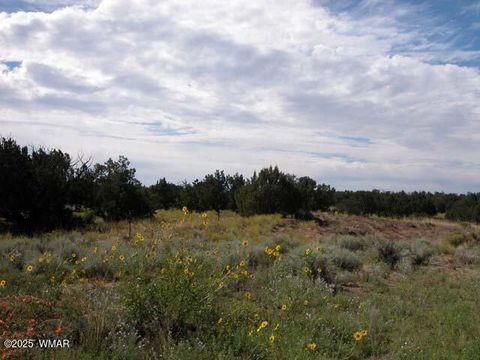 Tiny photo for 0 Bar Nothing Ranch Road #409, Chambers, AZ 86502 (MLS # 258700)