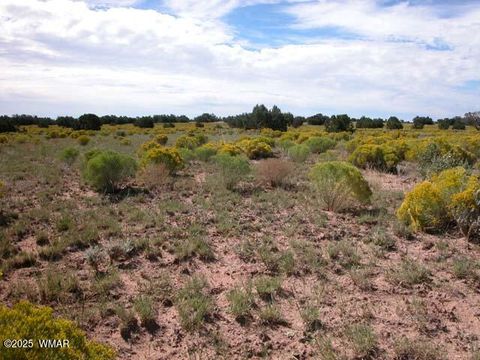 Tiny photo for 0 Bar Nothing Ranch Road #409, Chambers, AZ 86502 (MLS # 258700)