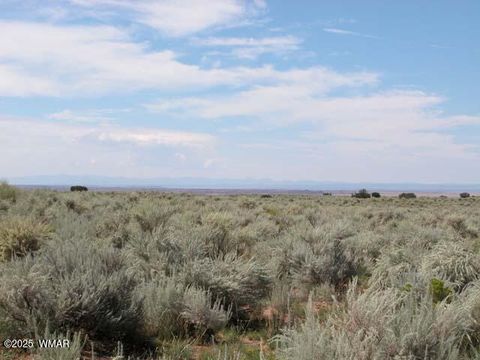 Tiny photo for 0 Bar Nothing Ranch Road #409, Chambers, AZ 86502 (MLS # 258700)