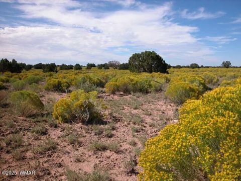 Photo of 0 Bar Nothing Ranch Road #409, Chambers, AZ 86502 (MLS # 258700)