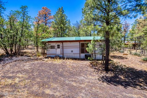 Tiny photo for 5449 Herd Street, Pinedale, AZ 85934 (MLS # 255874)