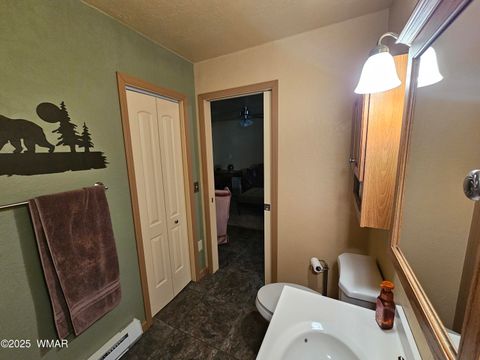 Tiny photo for 5449 Herd Street, Pinedale, AZ 85934 (MLS # 255874)