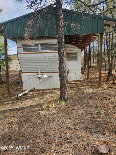 Tiny photo for 5449 Herd Street, Pinedale, AZ 85934 (MLS # 255874)