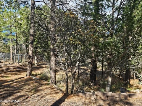 Tiny photo for 5449 Herd Street, Pinedale, AZ 85934 (MLS # 255874)