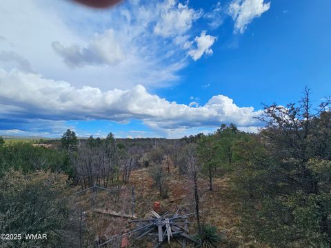 Tiny photo for 5449 Herd Street, Pinedale, AZ 85934 (MLS # 255874)