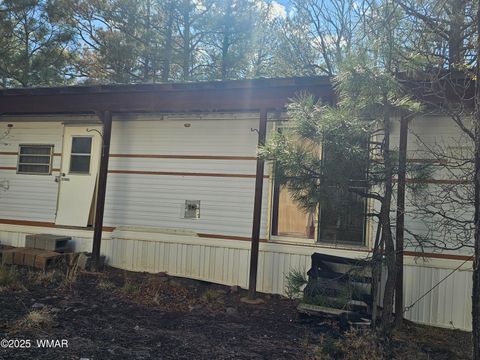 Tiny photo for 5449 Herd Street, Pinedale, AZ 85934 (MLS # 255874)