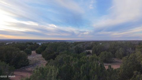 Tiny photo for 8338 Weber Road, Show Low, AZ 85901 (MLS # 258623)