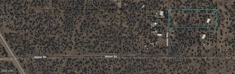 Tiny photo for 8338 Weber Road, Show Low, AZ 85901 (MLS # 258623)
