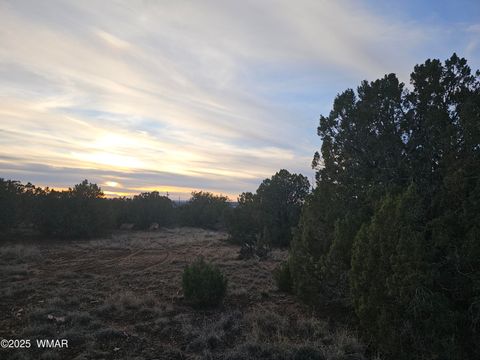 Tiny photo for 8338 Weber Road, Show Low, AZ 85901 (MLS # 258623)