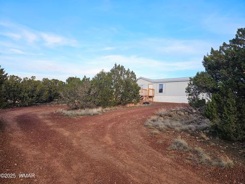 Tiny photo for 8338 Weber Road, Show Low, AZ 85901 (MLS # 258623)