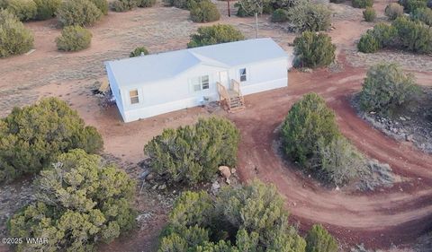 Photo of 8338 Weber Road, Show Low, AZ 85901 (MLS # 258623)