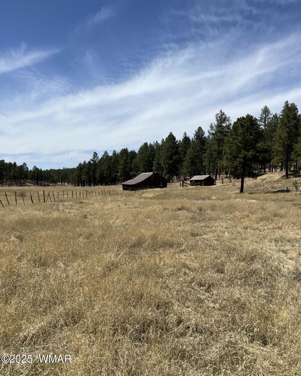 Photo for Lot B Forest Road 26, Alpine, AZ 85920 (MLS # 257151)