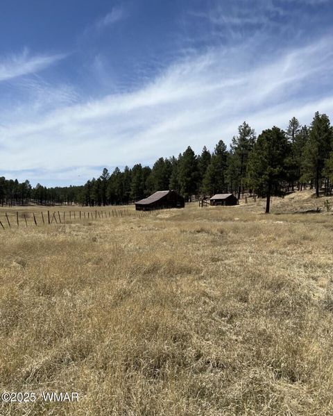 Photo of Lot B Forest Road 26, Alpine, AZ 85920 (MLS # 257151) Photo of Lot B Forest Road 26, Alpine, AZ 85920 (MLS # 257151)