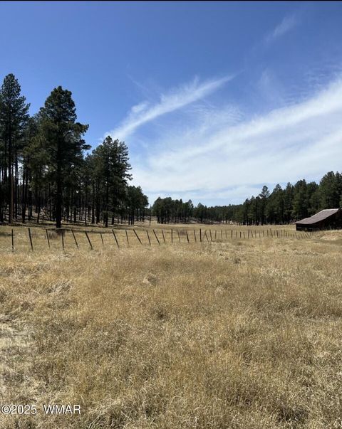 Tiny photo for Lot B Forest Road 26, Alpine, AZ 85920 (MLS # 257151)