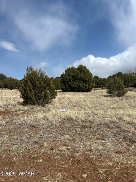 Tiny photo for 620 S Rock Ridge Drive #1A Lot 74, Show Low, AZ 85901 (MLS # 256502)