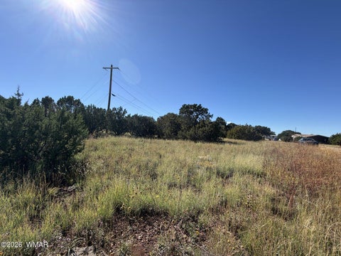 Tiny photo for 8701 Campbell Circle, Show Low, AZ 85901 (MLS # 263603)