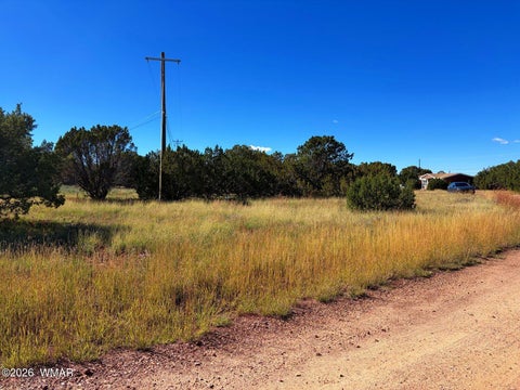 Tiny photo for 8701 Campbell Circle, Show Low, AZ 85901 (MLS # 263603)