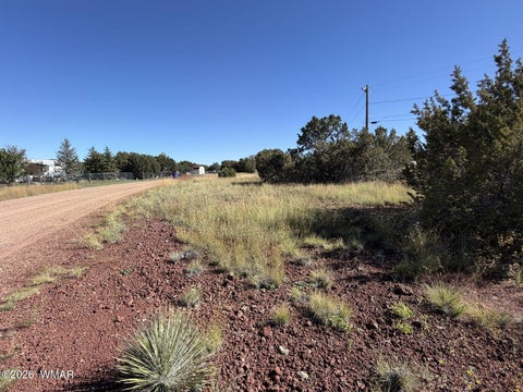 Photo of 8701 Campbell Circle, Show Low, AZ 85901 (MLS # 263603)