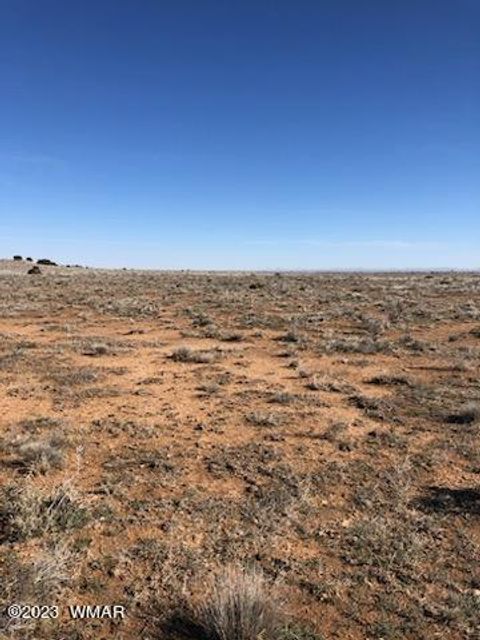 Tiny photo for Lot 663 Chevelon Canyon Ranch, Heber, AZ 85928 (MLS # 248118)