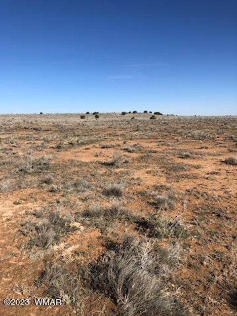 Tiny photo for Lot 663 Chevelon Canyon Ranch, Heber, AZ 85928 (MLS # 248118)