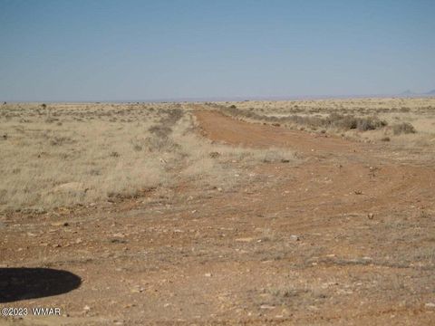 Tiny photo for Lot 663 Chevelon Canyon Ranch, Heber, AZ 85928 (MLS # 248118)