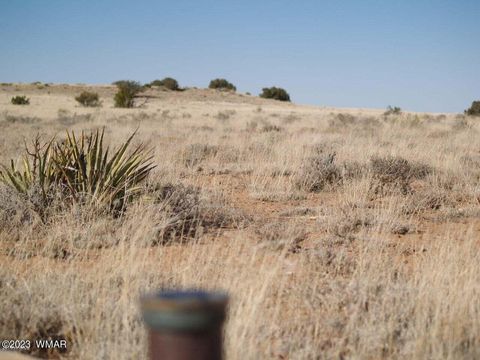 Tiny photo for Lot 663 Chevelon Canyon Ranch, Heber, AZ 85928 (MLS # 248118)