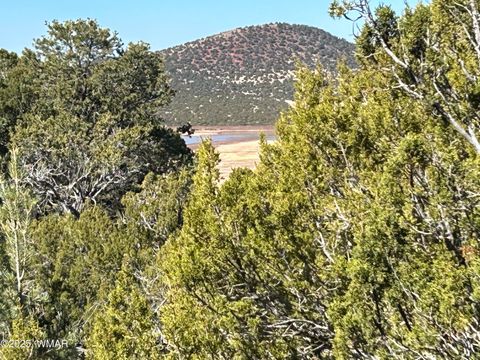 Photo of lot 79 Ranch Road, Vernon, AZ 85940 (MLS # 254736)