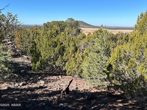 Tiny photo for lot 79 Ranch Road, Vernon, AZ 85940 (MLS # 254736)