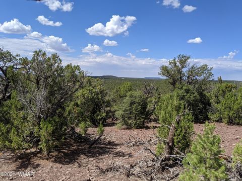 Tiny photo for lot 79 Ranch Road, Vernon, AZ 85940 (MLS # 254736)