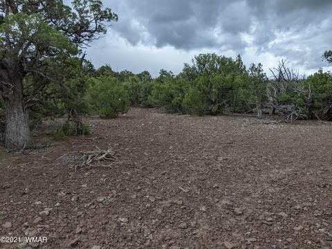 Tiny photo for lot 79 Ranch Road, Vernon, AZ 85940 (MLS # 254736)