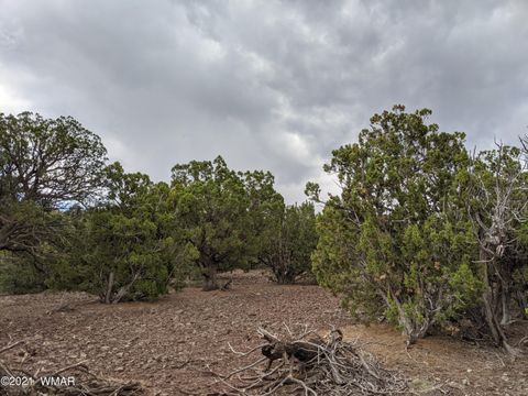Tiny photo for lot 79 Ranch Road, Vernon, AZ 85940 (MLS # 254736)