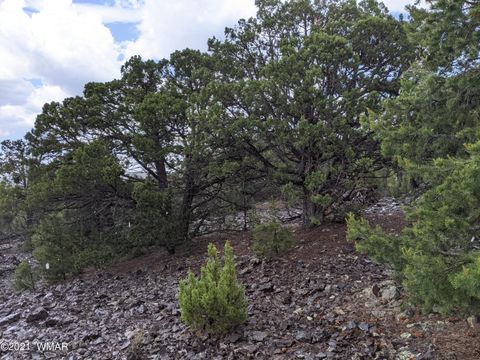 Tiny photo for lot 79 Ranch Road, Vernon, AZ 85940 (MLS # 254736)